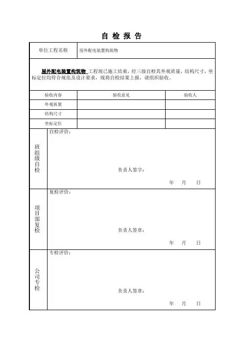 三级自检报告