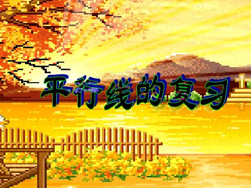 第1章平行线总复习PPT课件