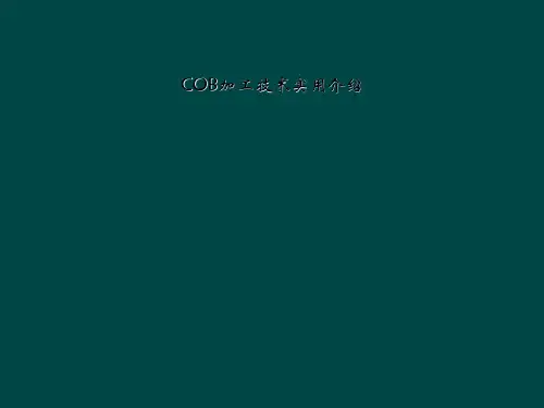 COB加工技术实用介绍