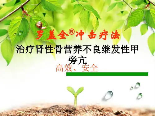 罗盖全冲击疗法PPT