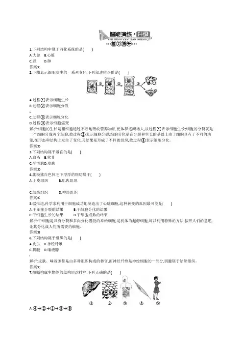 动物体的结构层次 习题附答案