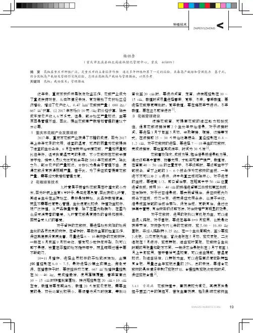 花椒高产栽培与管理措施