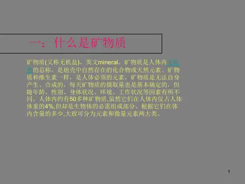 矿物质PPT课件