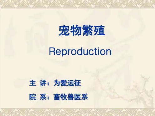 宠物繁殖绪论概述