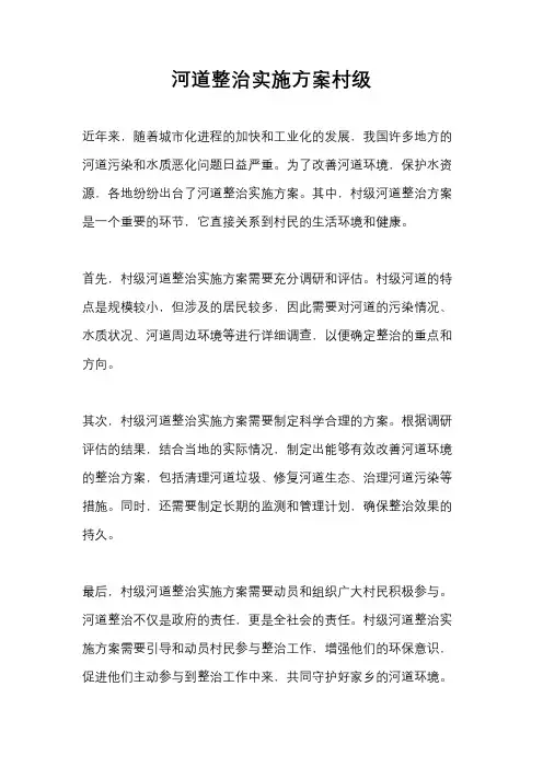 河道整治实施方案村级