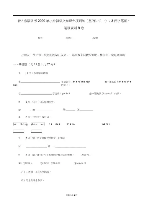新人教版备考2020年小升初语文知识专项训练(基础知识一)：3汉字笔画、笔顺规则B卷