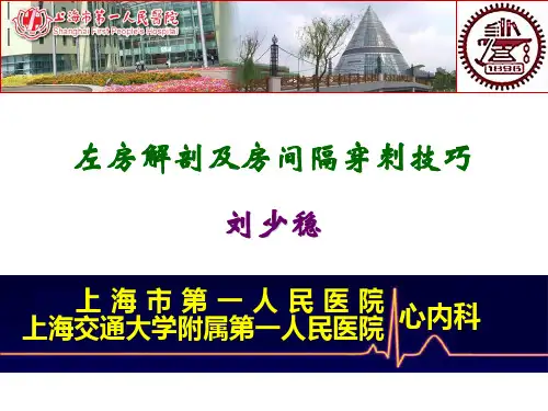 左房解剖及房间隔穿刺技巧.
