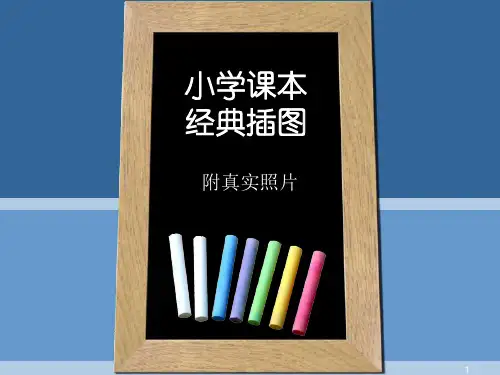小学课本经典插图PPT课件