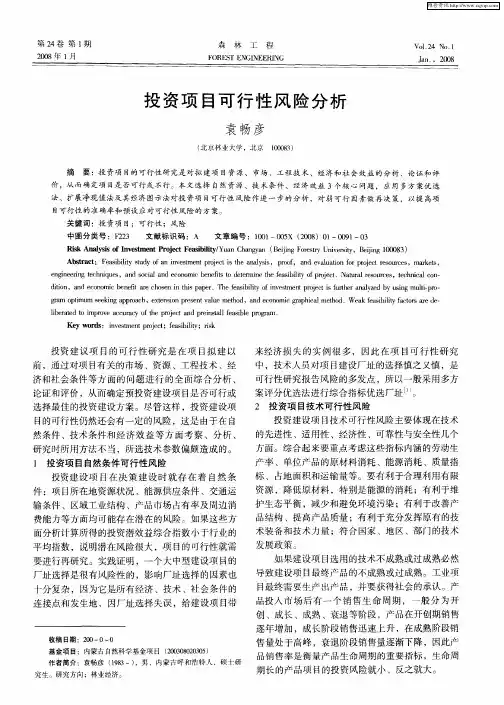 投资项目可行性风险分析