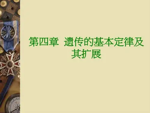 连锁和互换定律图文