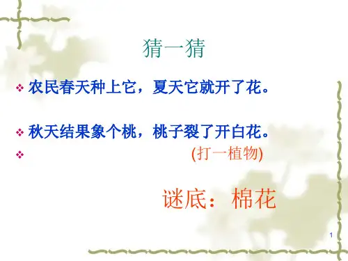 一年级语文下册《棉花姑娘》(课堂PPT)