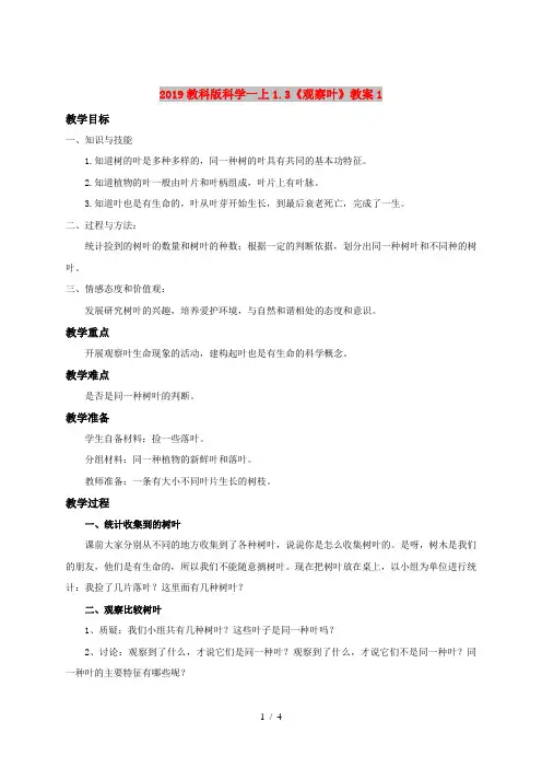 2019教科版科学一上1.3《观察叶》教案1