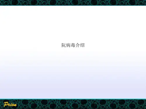 阮病毒介绍