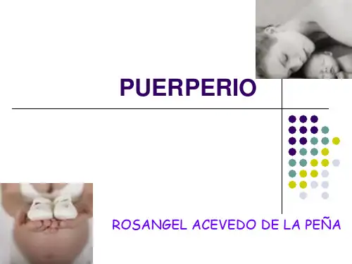 医普ppt之妇女妊娠期生理解析puerperio资料