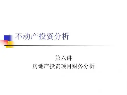 第六讲项目的财务分析