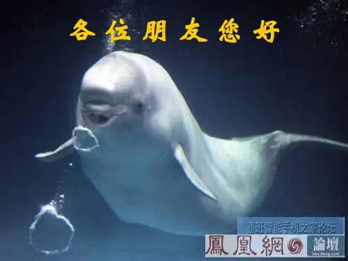 管、法、通.水(09.10)