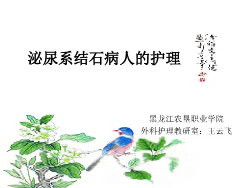 泌尿系结石 ppt课件
