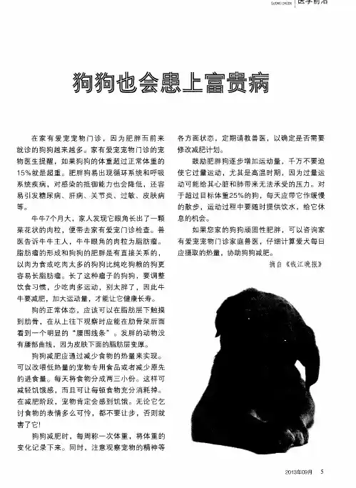 狗狗也会患上富贵病