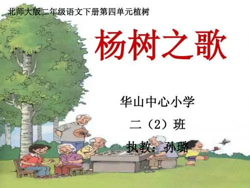 杨树之歌ppt