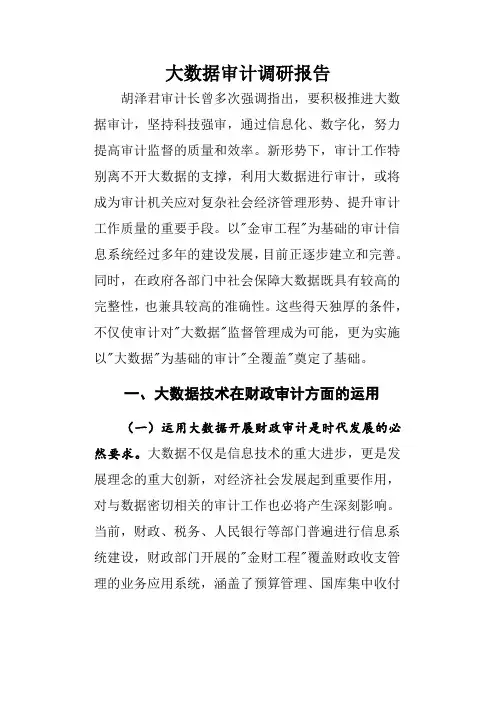 大数据审计调研报告
