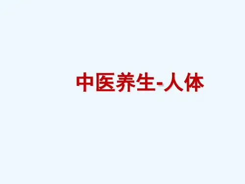 人体经络穴位骨骼肌肉讲解