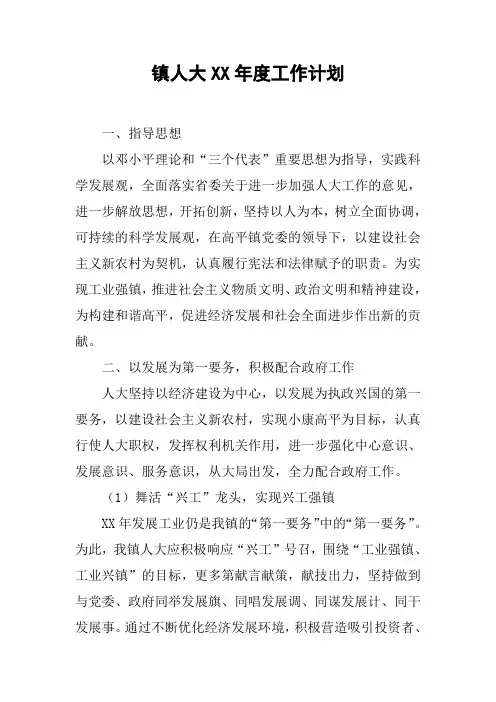镇人大XX年度工作计划