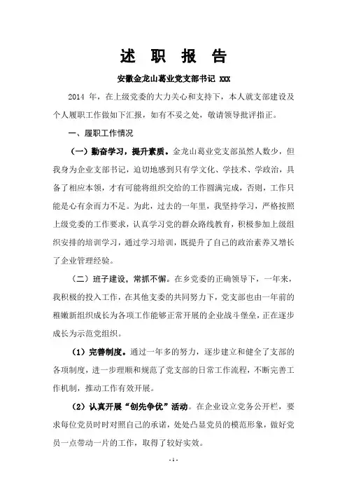 党支部书记述职报告