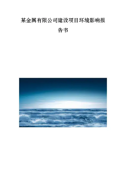 某金属有限公司建设项目环境影响报告书