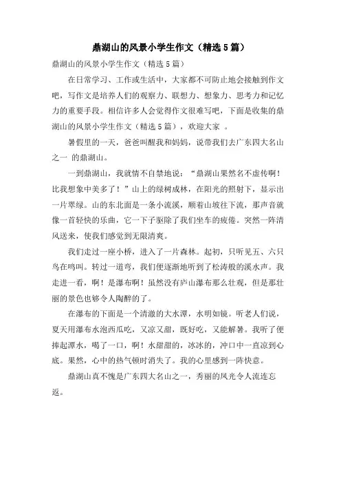 鼎湖山的风景小学生作文(精选5篇)