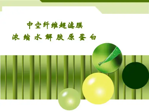 浓缩水解胶原蛋白