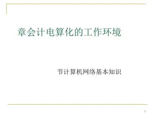 会计电算化的工作环境(PPT 38张)