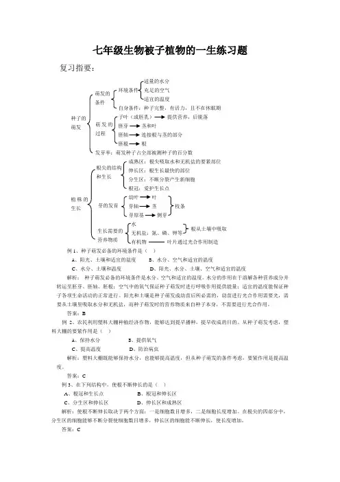 七年级生物被子植物的一生练习题