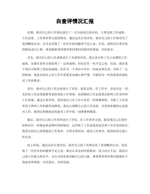 自查评情况汇报