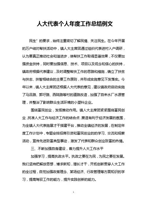 人大代表个人年度工作总结例文