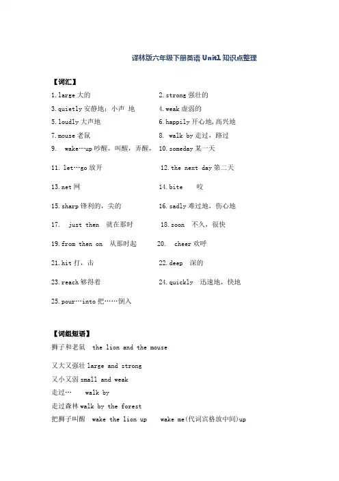 译林版六年级下册英语Unit1知识点整理 docx