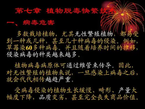植物组织培养技术第七章 植物脱毒快繁技术PPT课件