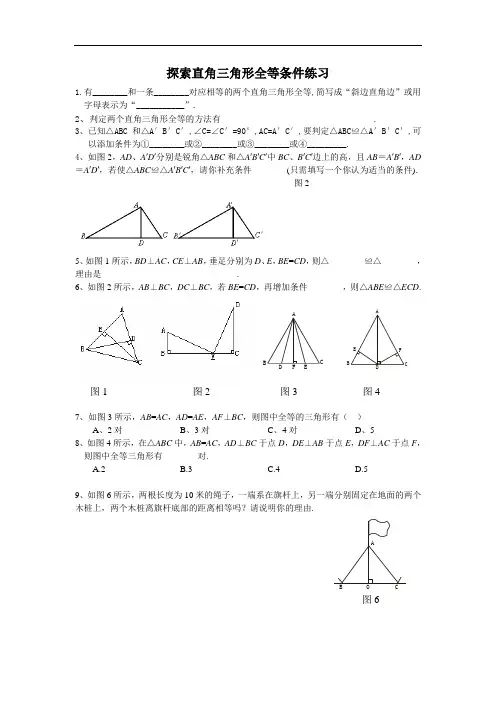 3.3直角三角形全等(基础题)