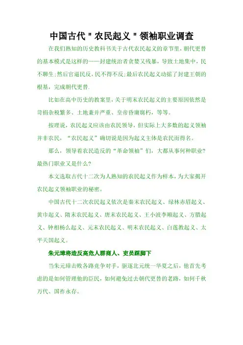 中国古代＂农民起义＂领袖职业调查