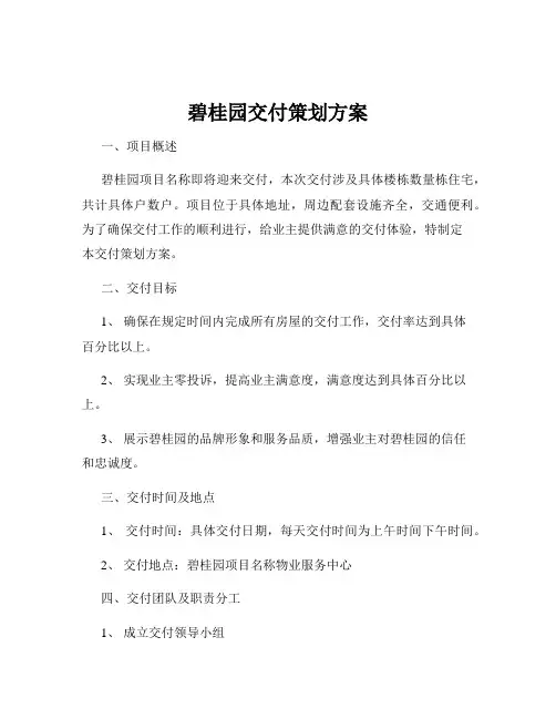 碧桂园交付策划方案 2