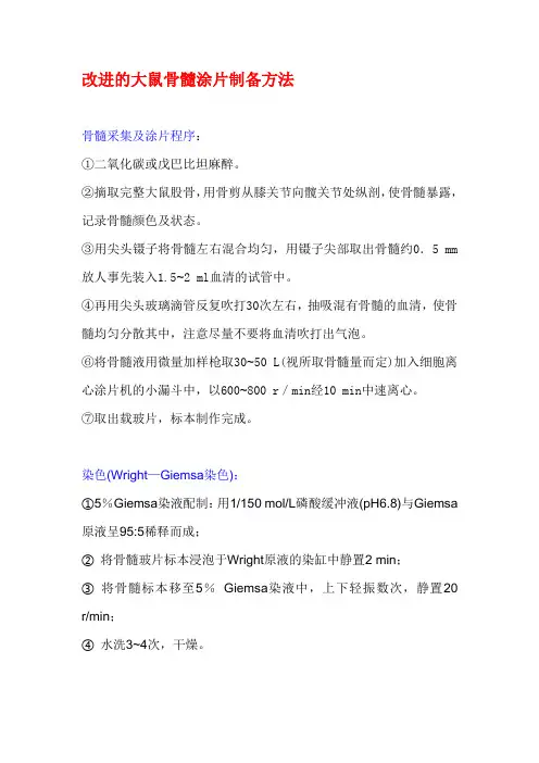 骨髓细胞的涂片制作及染色