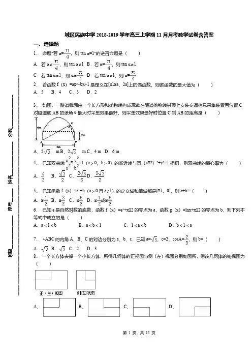 城区民族中学2018-2019学年高三上学期11月月考数学试卷含答案(2)
