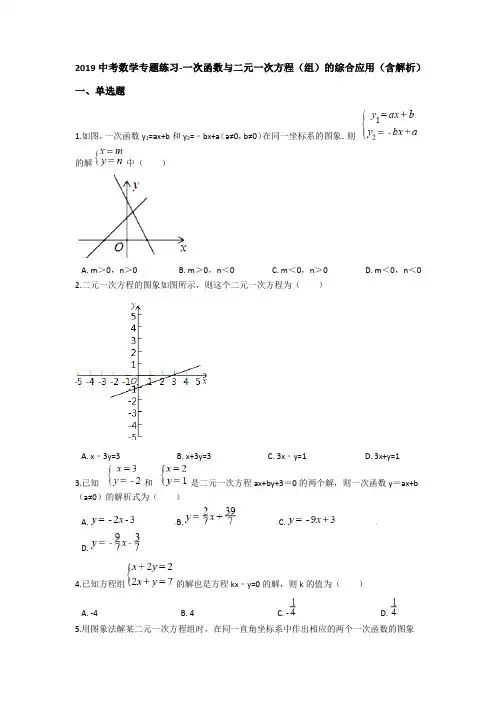 2019中考数学专题练习-一次函数与二元一次方程(组)的综合应用(含解析)
