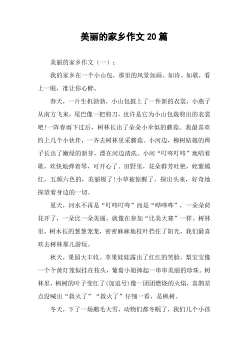 美丽的家乡作文20篇
