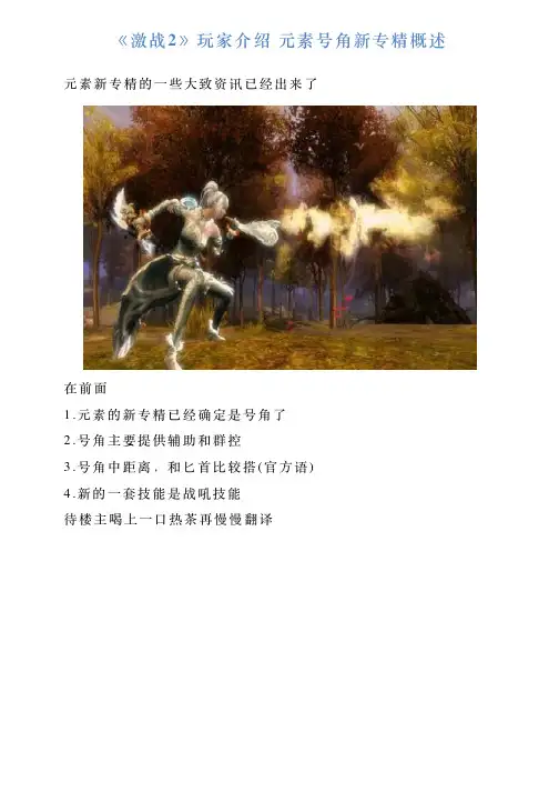 《激战2》玩家介绍元素号角新专精概述
