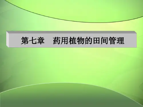 田间管理