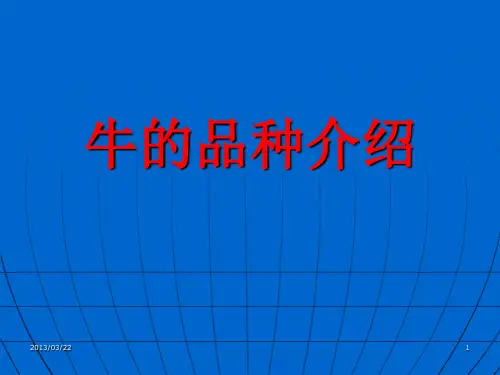 畜禽繁殖与改良24牛品种介绍