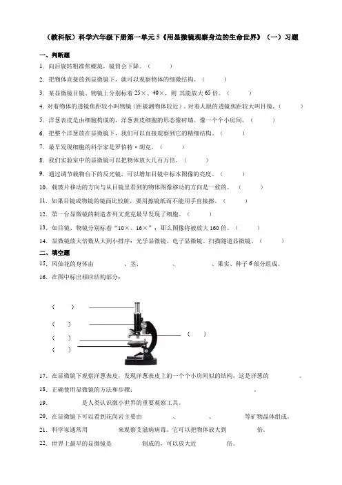 六年级下册科学试题-- 5《用显微镜观察身边的生命世界》(一)习题   教科版(含答案)