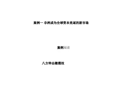 案例分析——非洲