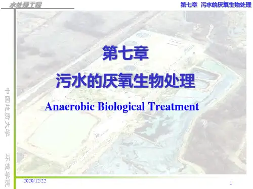 研究生入学考试水污染控制工程中国地质大学污水的厌氧生物处理精品PPT课件