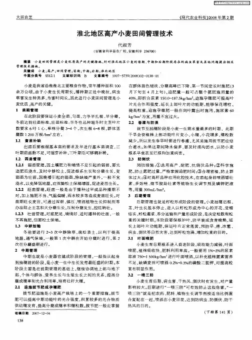 淮北地区高产小麦田间管理技术